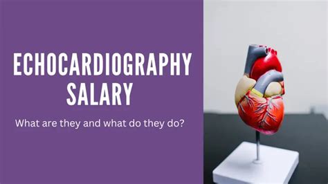 Average salary of a diagnostic cardiac sonographer The national average salary of a diagnostic cardiac sonographer is 57,975 per year. . Echocardiography salary